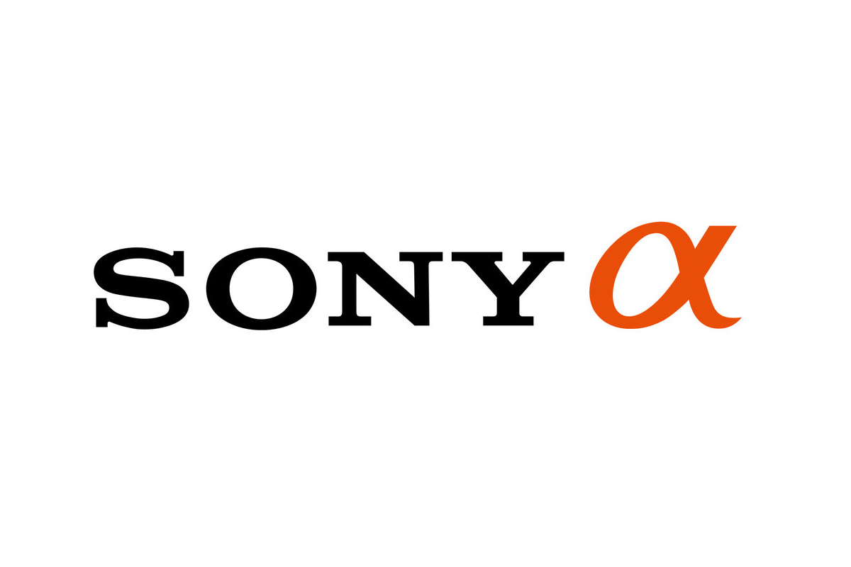 Sony A6100 logo